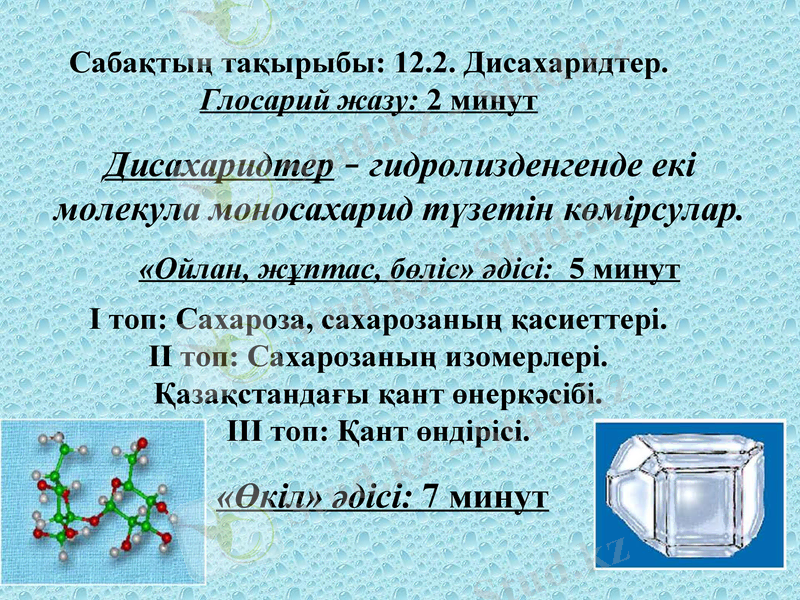 Slide 7