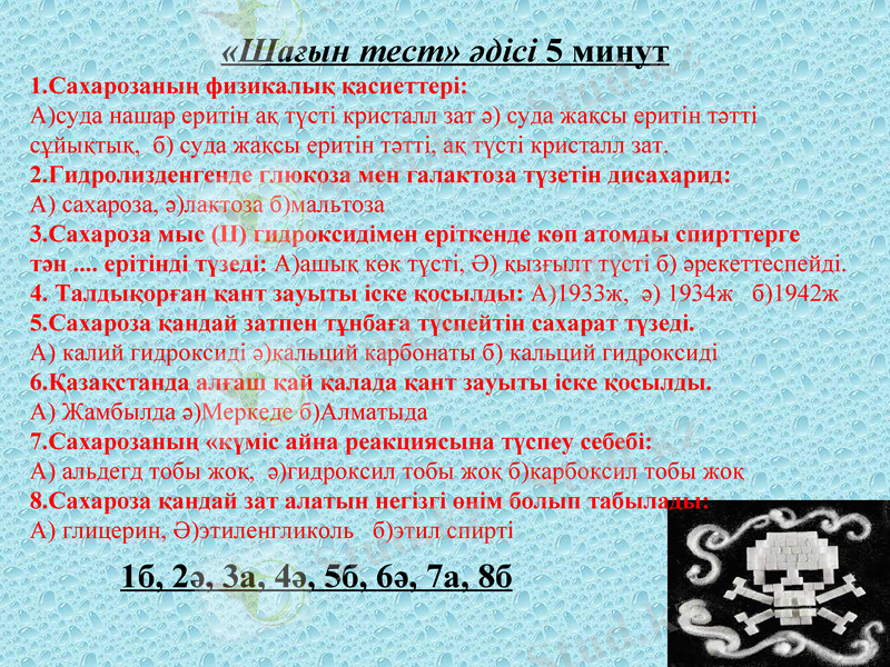 Slide 9