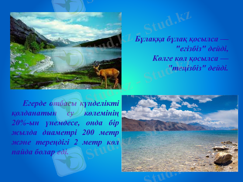 Slide 11