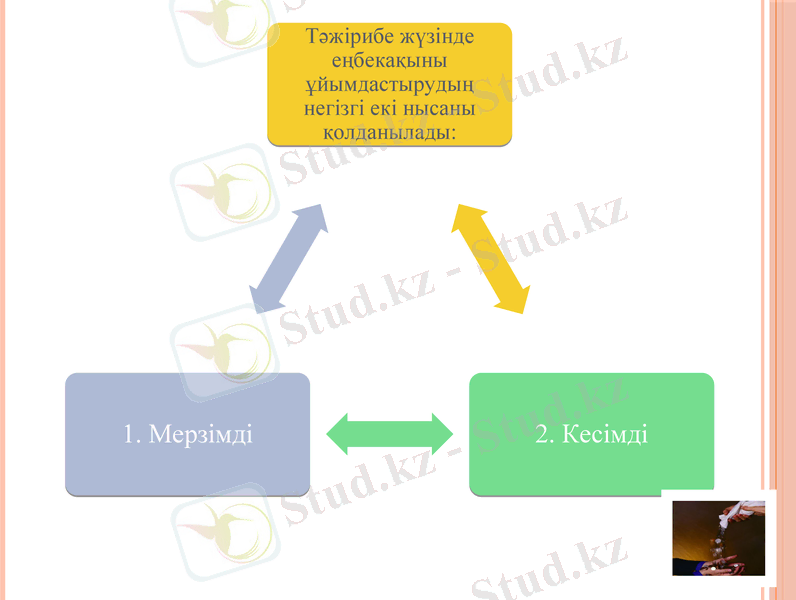 Slide 10