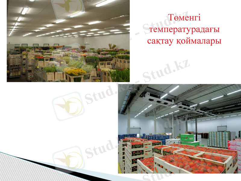 Slide 11