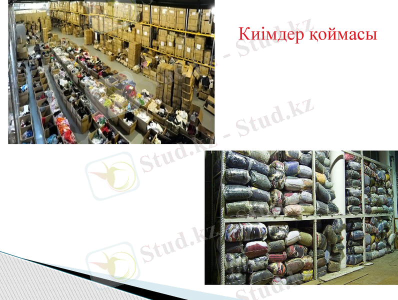 Slide 16