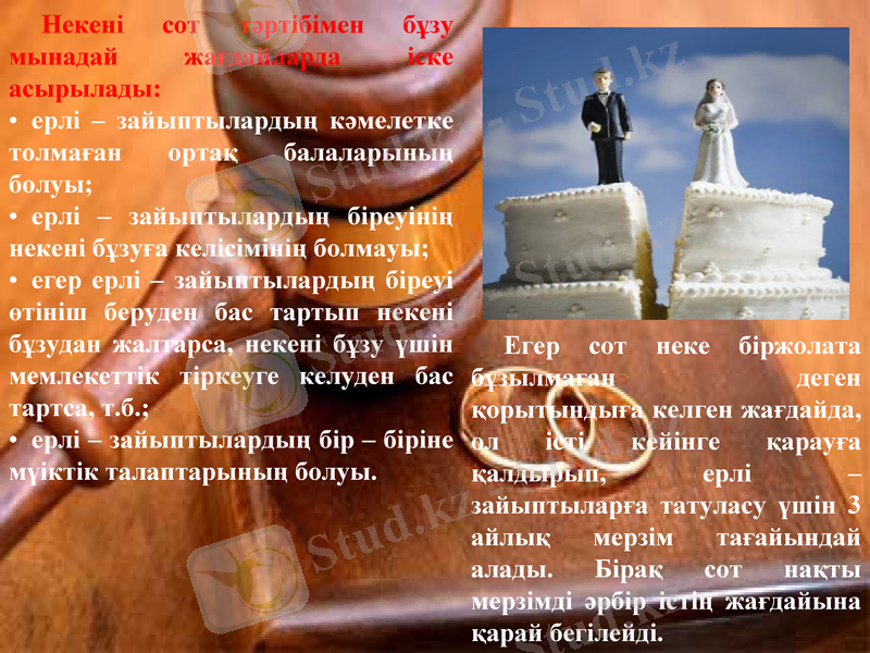 Slide 7