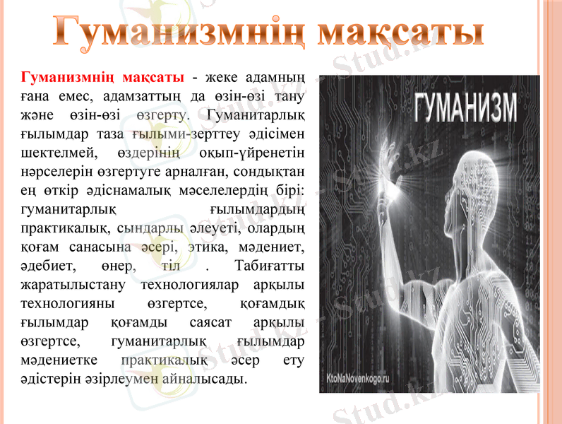 Slide 11