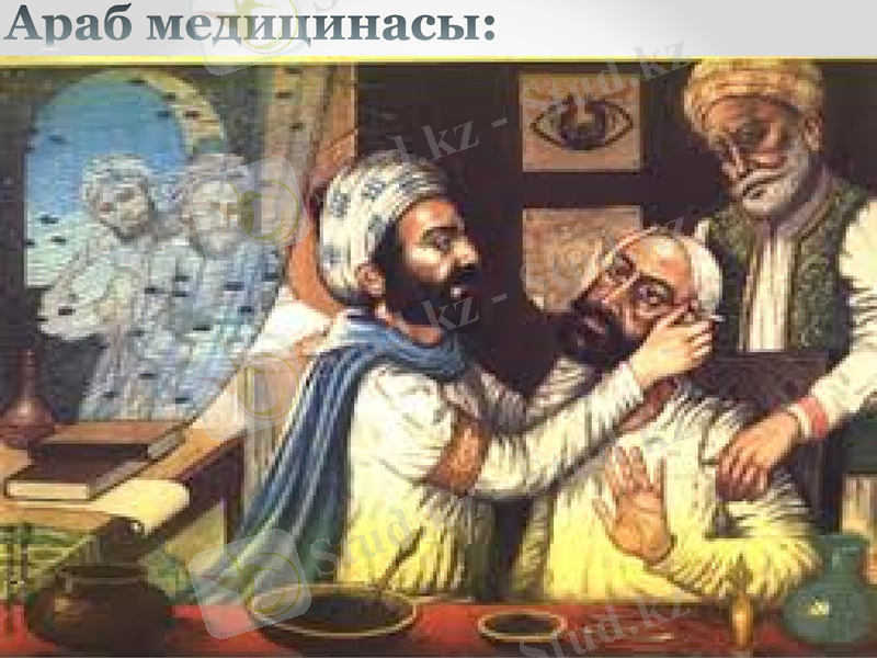 Slide 12