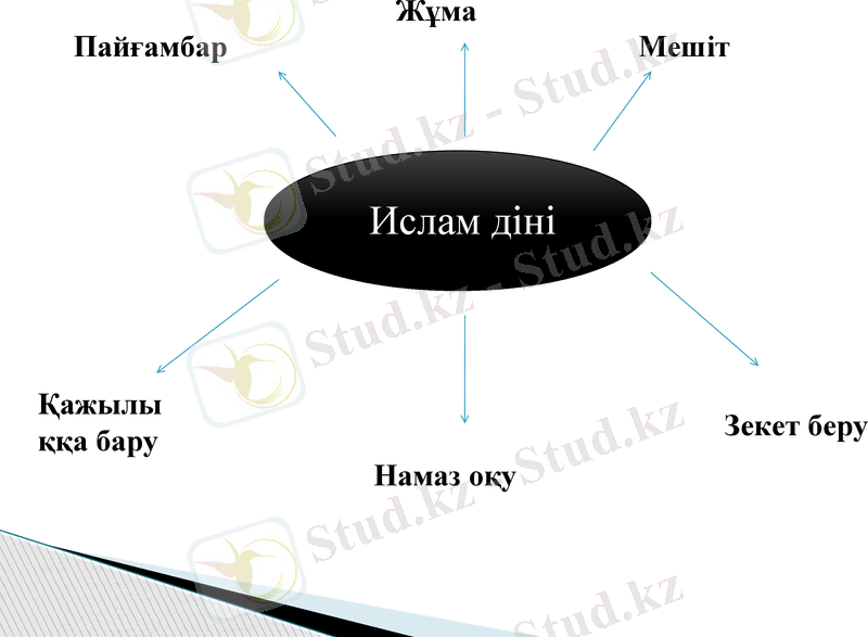 Slide 15