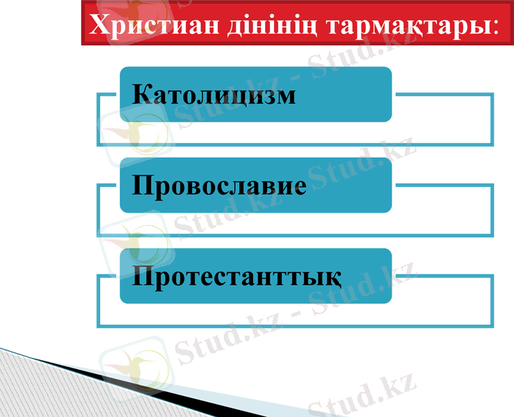 Slide 6