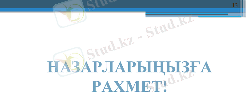 Slide 13