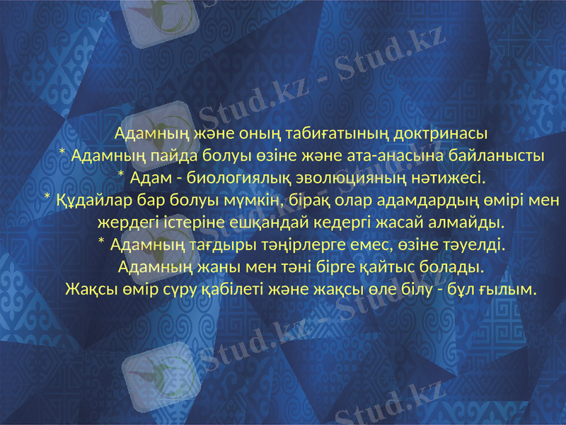 Slide 8