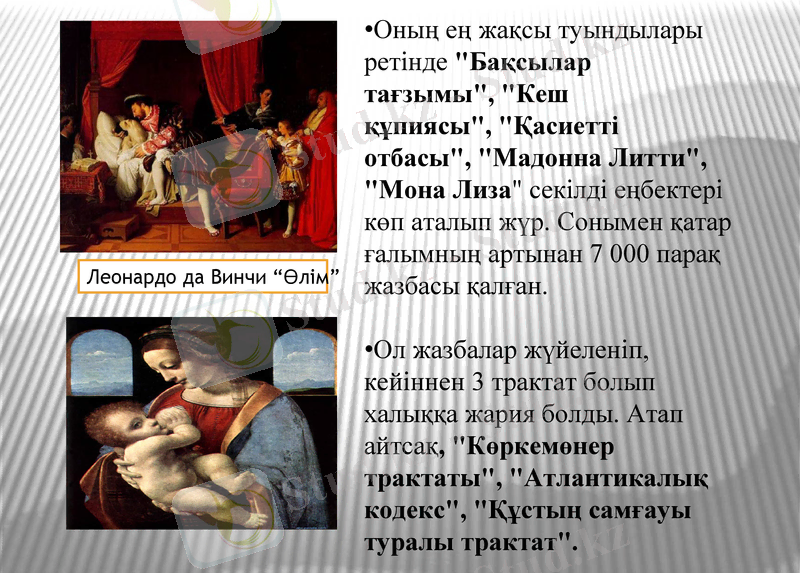 Slide 8