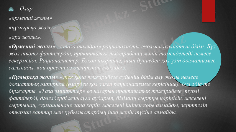 Slide 8