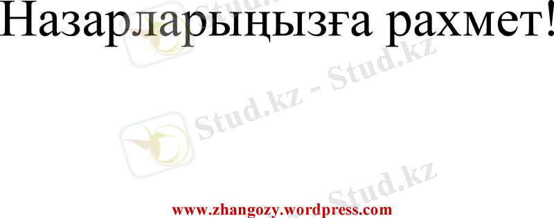 Slide 13