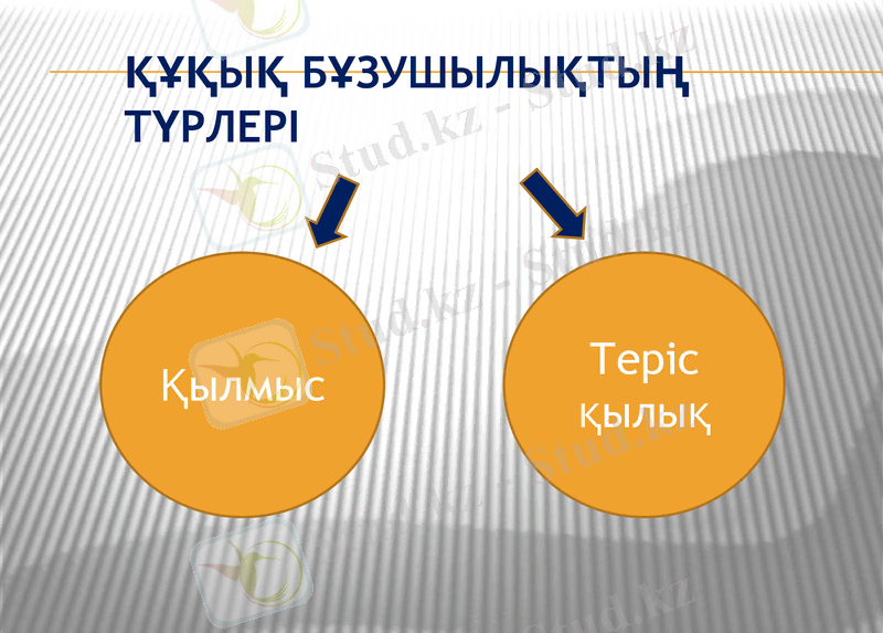 Slide 7