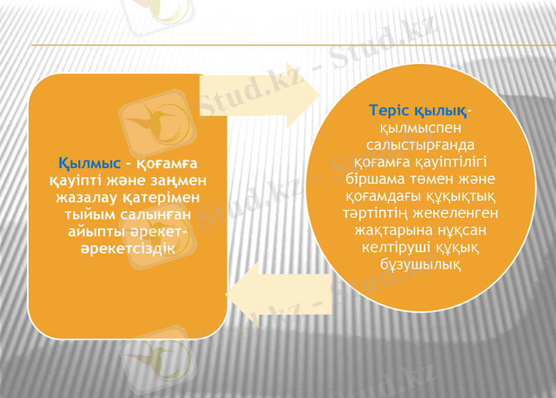 Slide 8