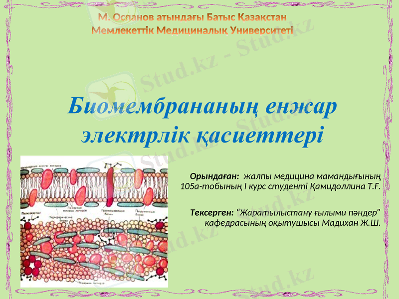 Slide 1
