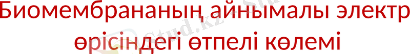 Slide 10