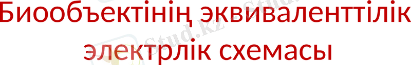 Slide 11