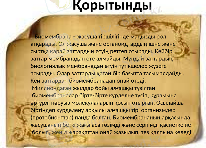 Slide 12