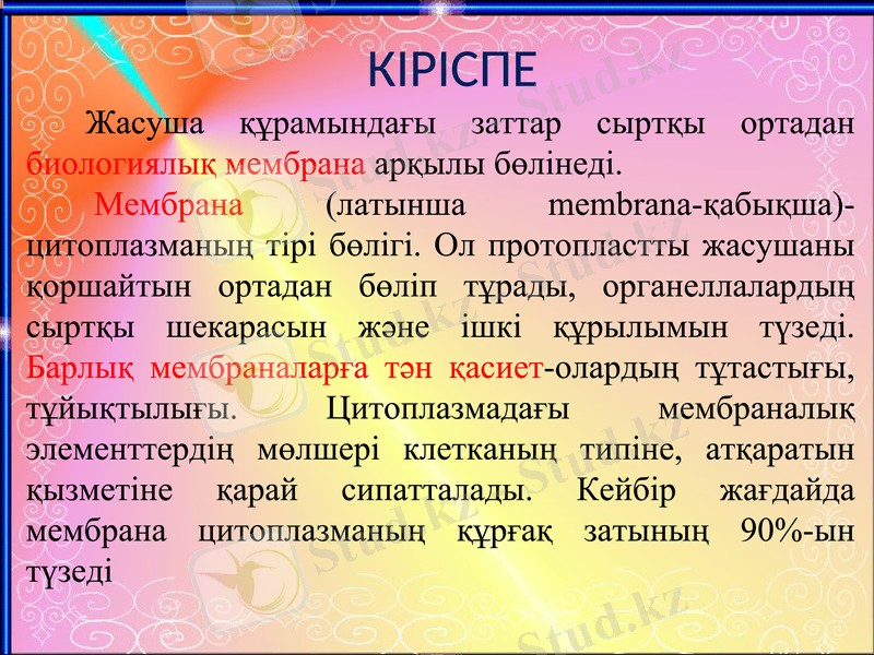 Slide 3