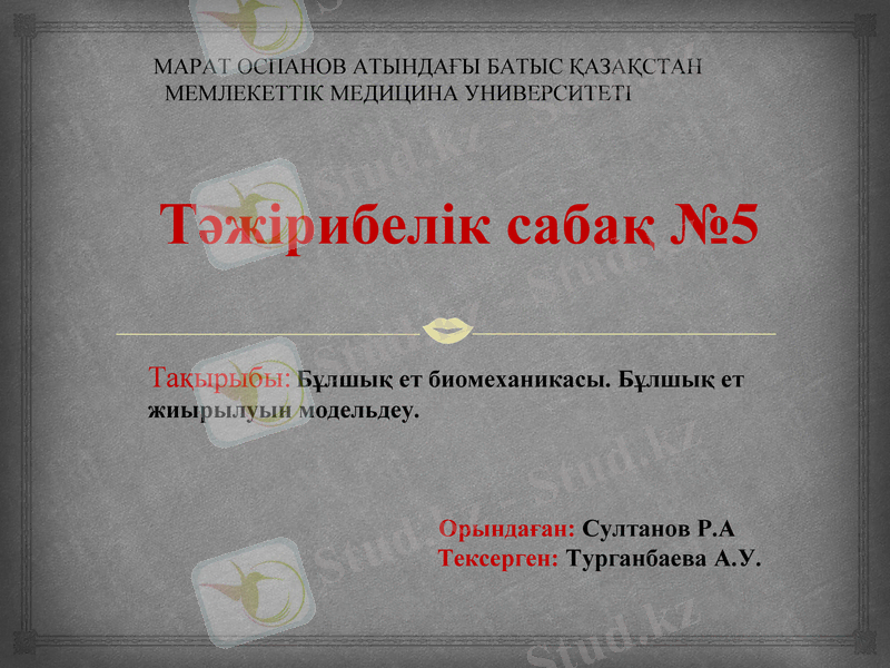 Slide 1