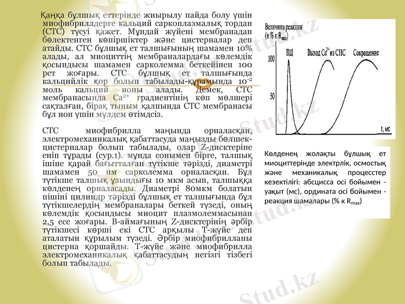 Slide 10