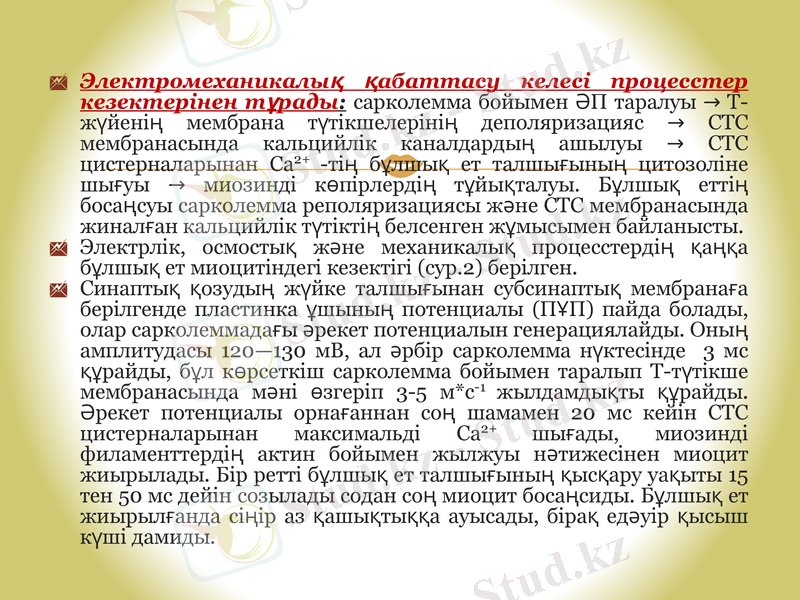 Slide 11