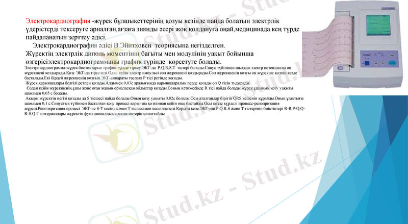Slide 8