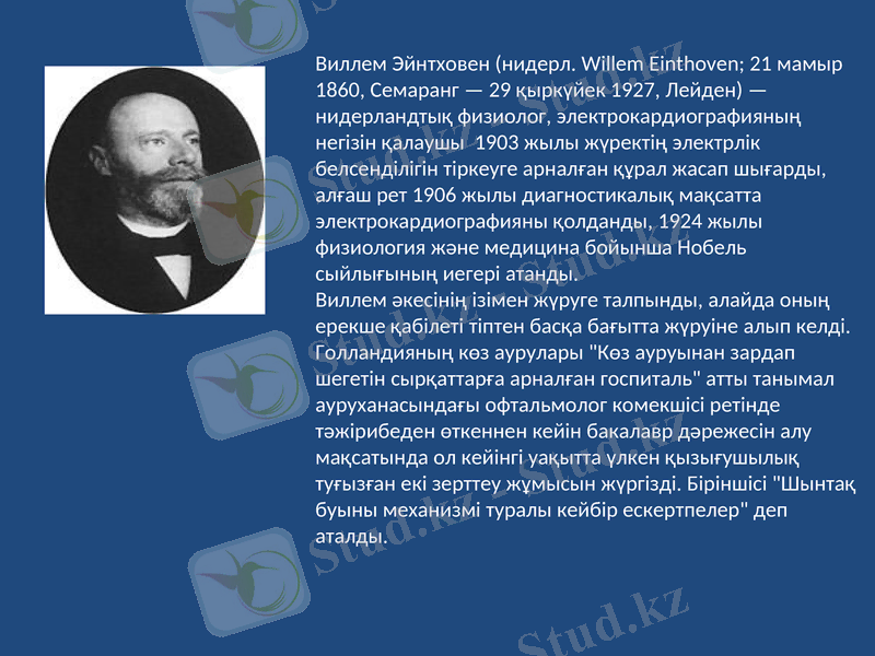 Slide 7
