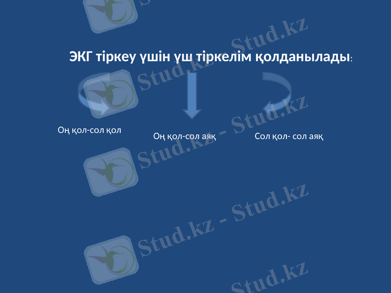 Slide 9
