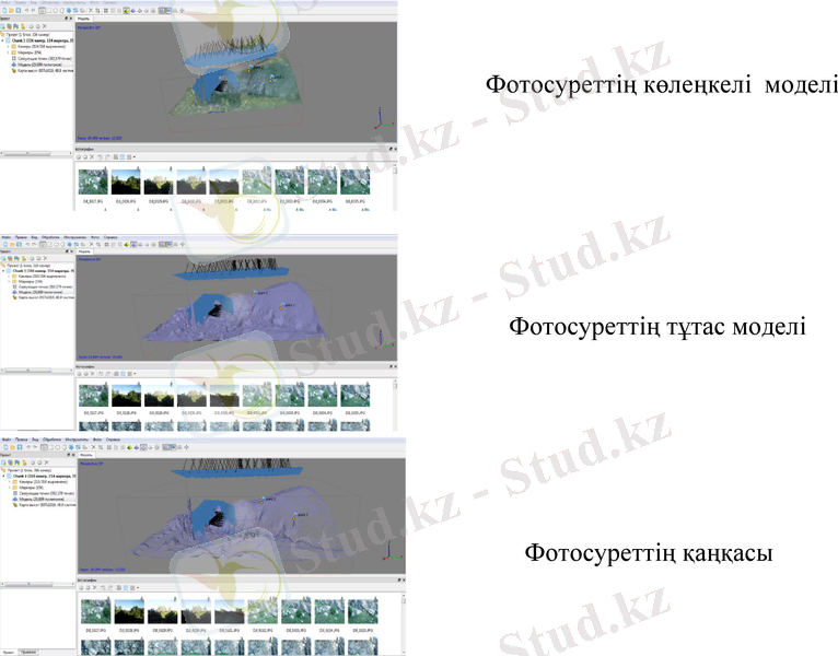 Slide 12
