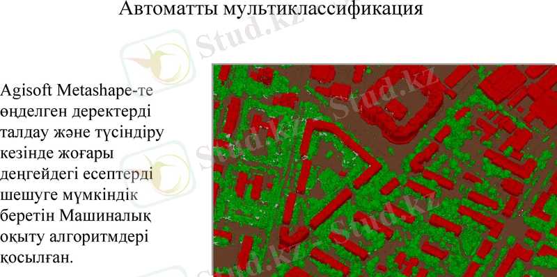 Slide 8