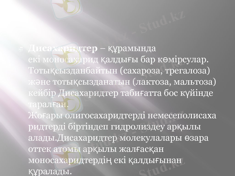 Slide 6