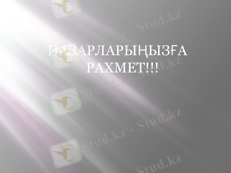 Slide 8