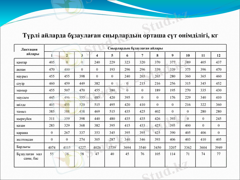 Slide 16