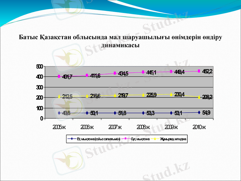 Slide 8