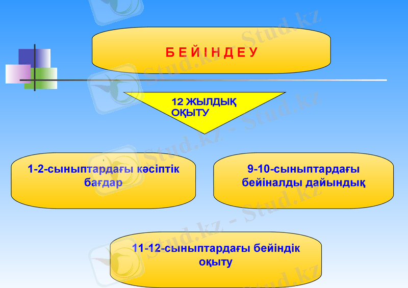 Slide 12