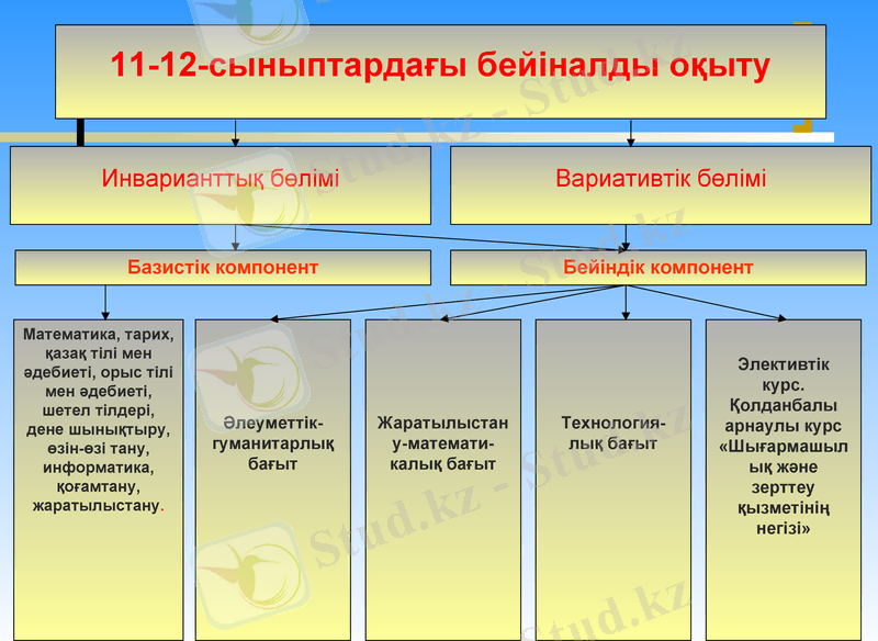Slide 13