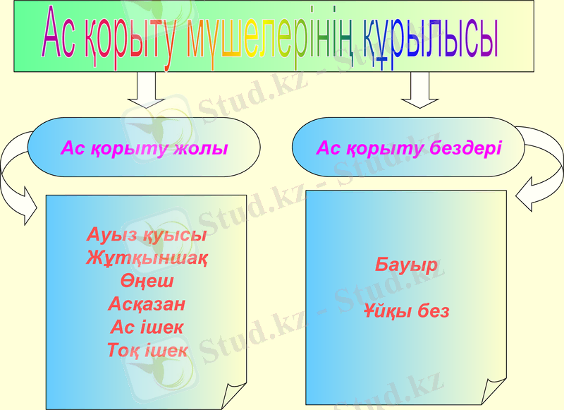 Slide 10
