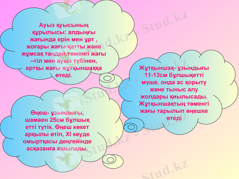Slide 12