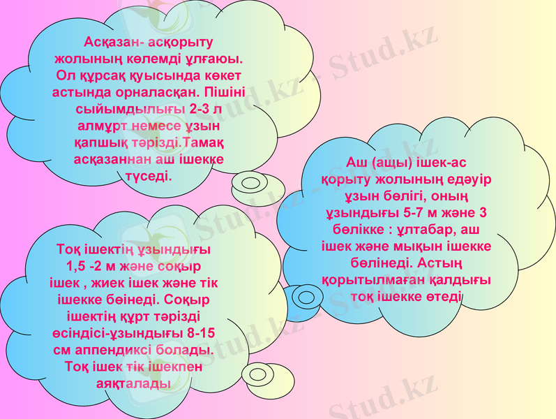 Slide 13
