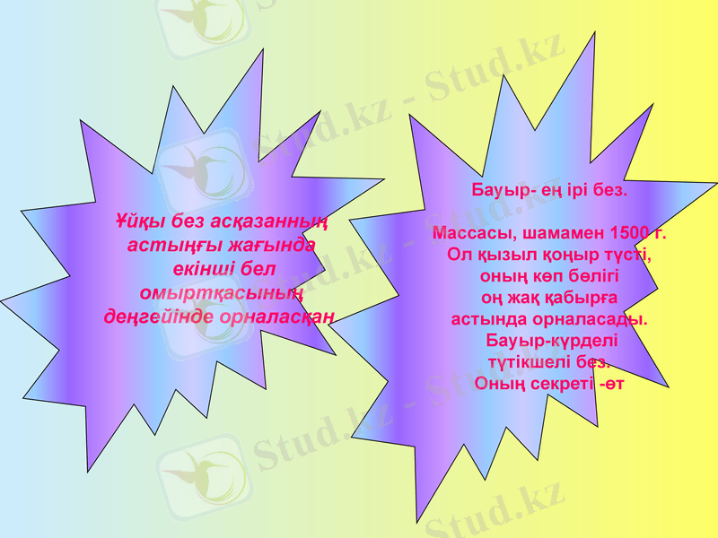 Slide 14