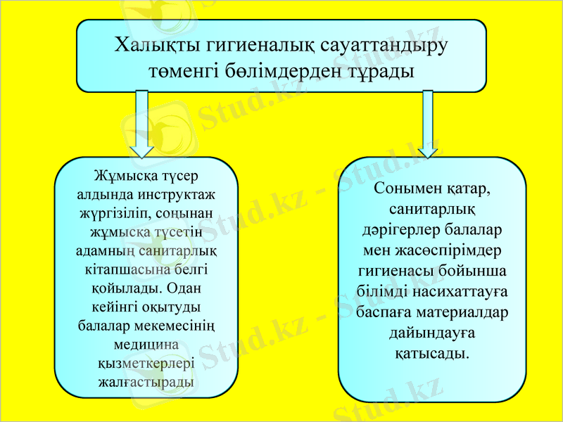 Slide 6