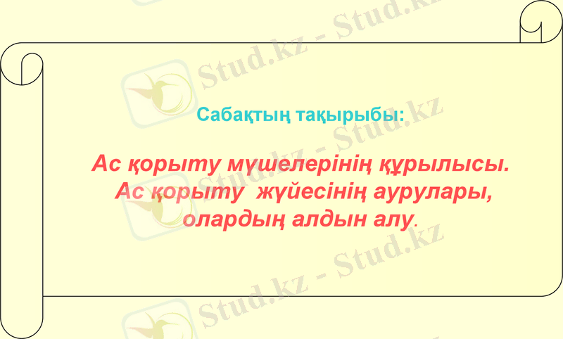 Slide 7