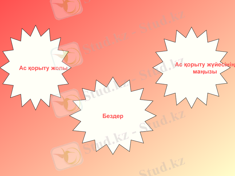 Slide 8