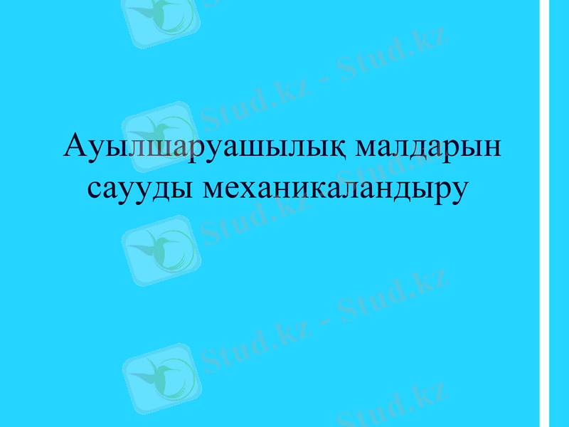 Slide 1
