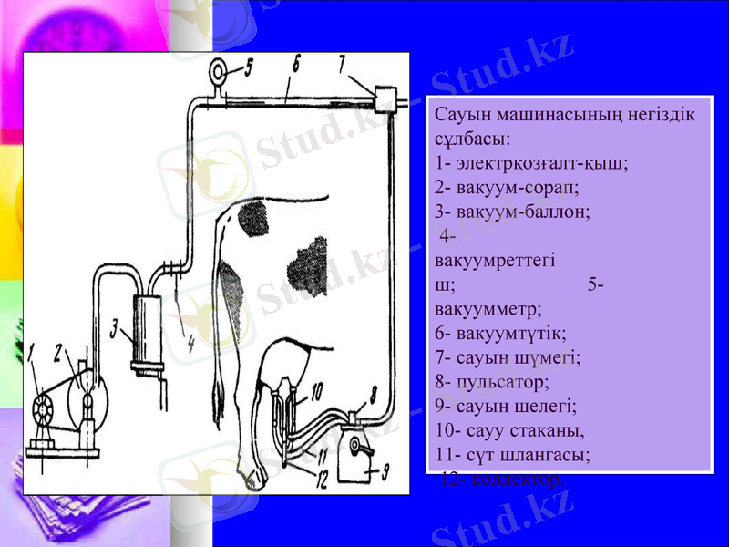 Slide 5