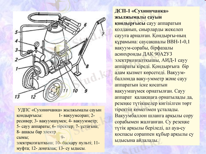 Slide 7