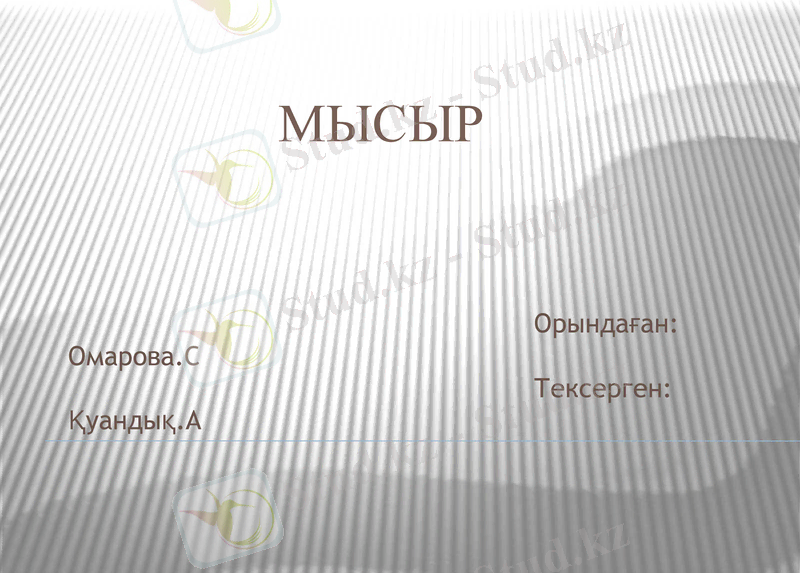 Slide 1