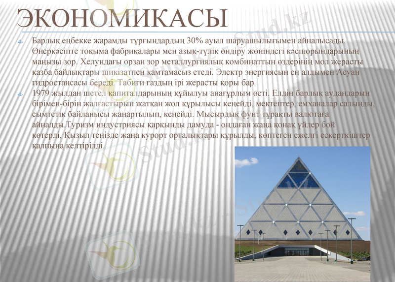 Slide 6