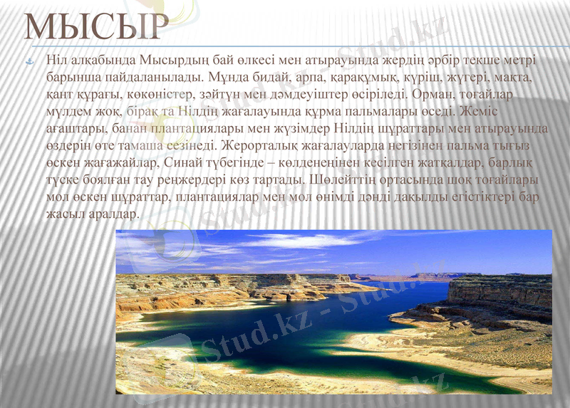 Slide 7